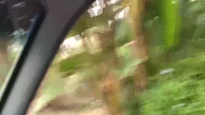 Side piece's german video by Safari Sex