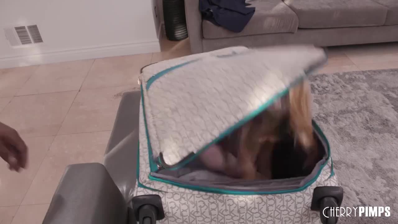 Gorgeous Demi's blonde trailer Free Porn Videos | BestPornHubs.