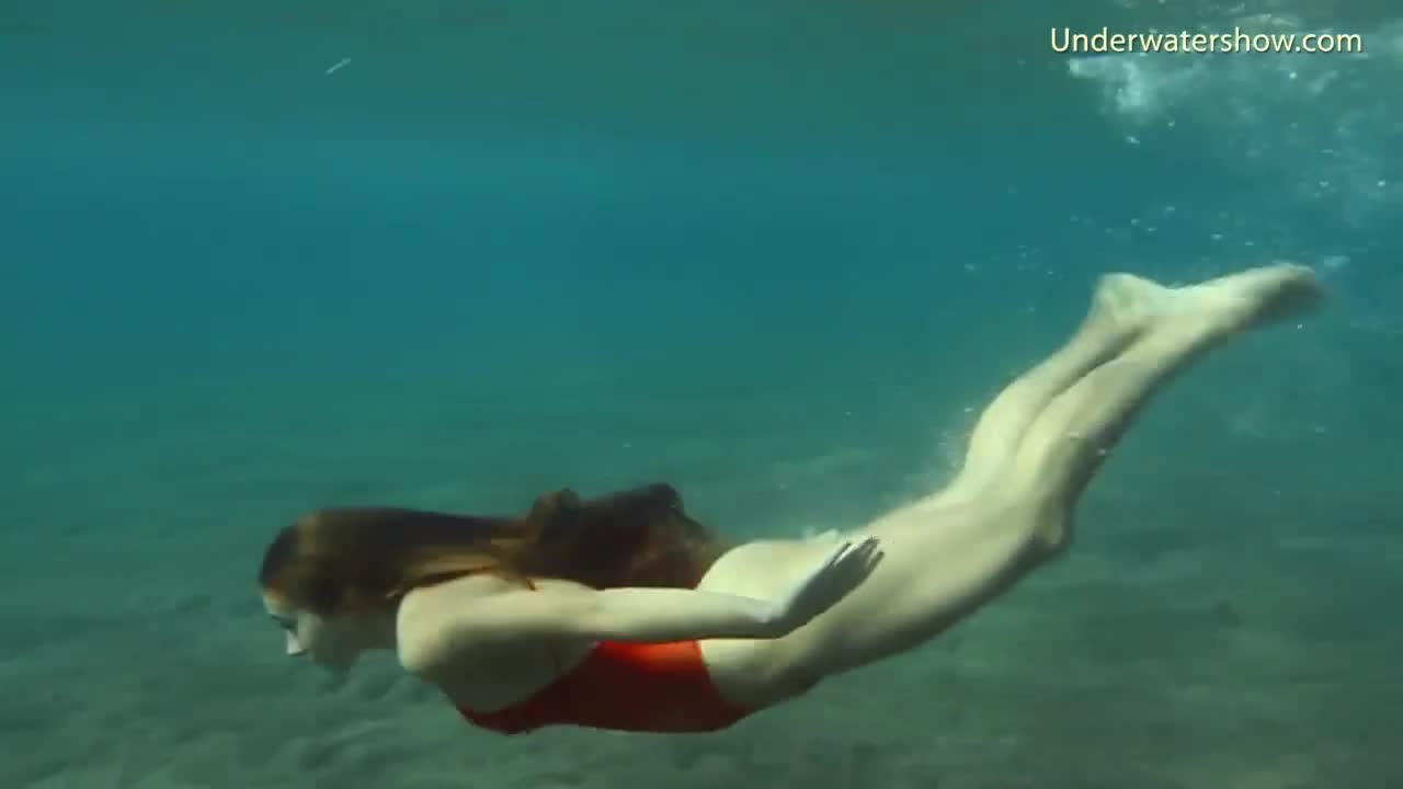 Talented hussy at babe porn Free Porn Videos | BestPornHubs.