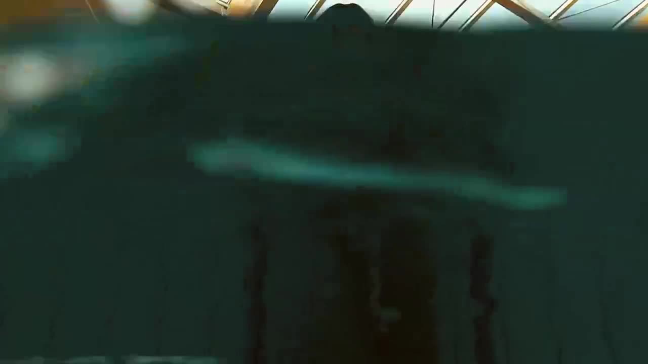 Underwatershow dirt with dirty nymphet from Underwater Show Free Porn Videos | BestPornHubs.