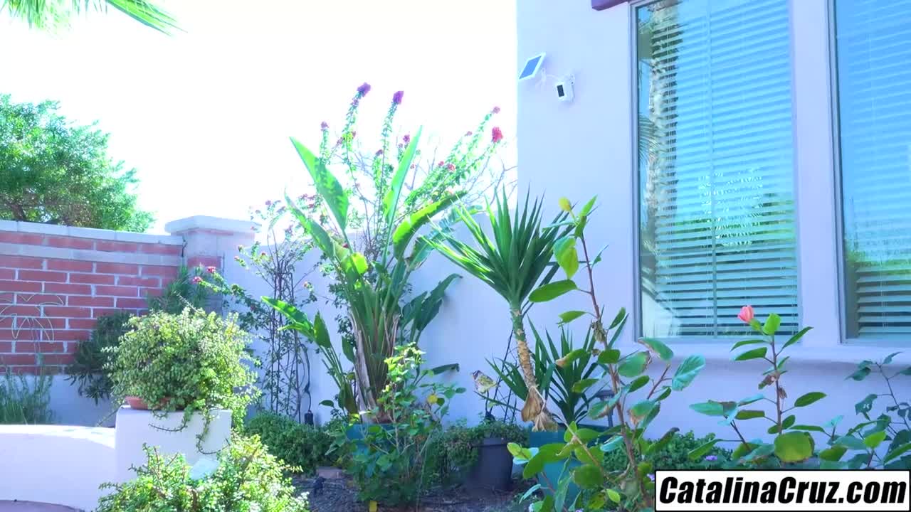 Sophisticated Catalina Cruz - handjob clip - Catalina Cruz Free Porn Videos | BestPornHubs.