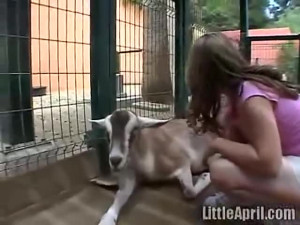 Watch passionate Little April's xxx