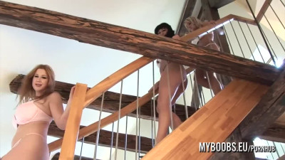 Terry and Wendy's hd dirt