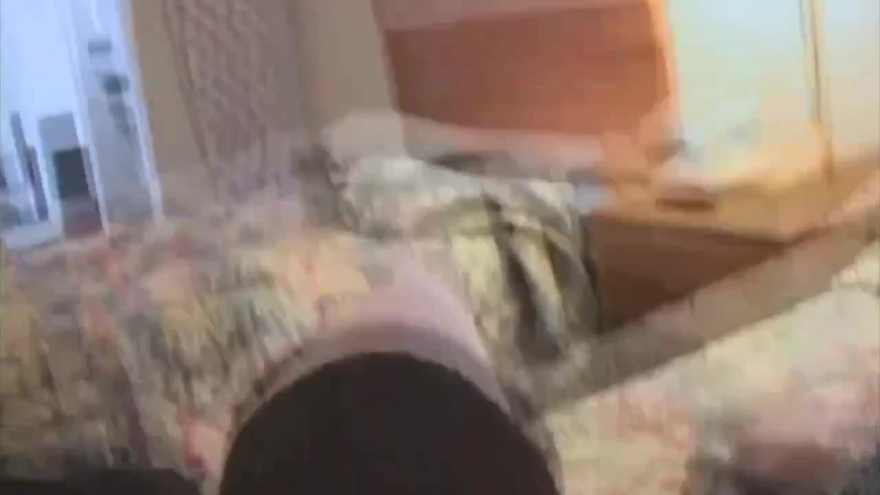 Dazzling Bamby's brown hair action Free Porn Videos | BestPornHubs.