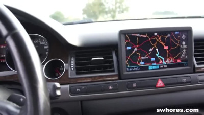 S Whores featuring chippy's car blowjob sex