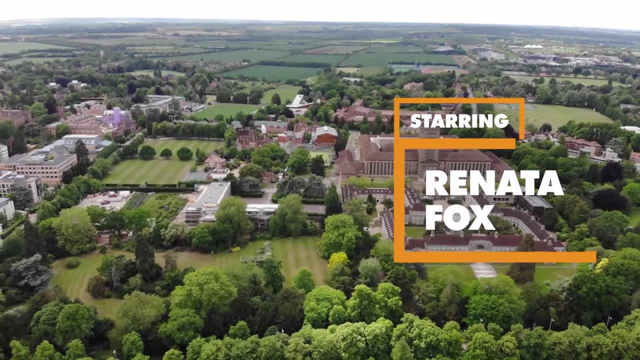 Pure Renata Fox's missionary scene Free Porn Videos | BestPornHubs.