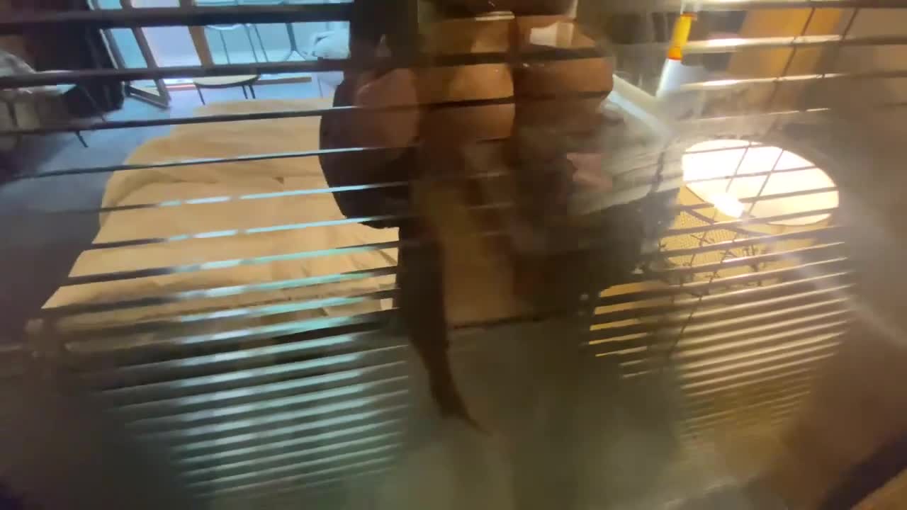 Charming Cock2squirt - squirting orgasm trailer - Verified Amateurs Free Porn Videos | BestPornHubs.